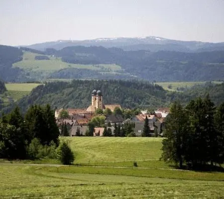 Wald Und Titisee-Neustadt
