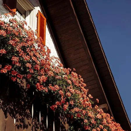 Hotel Gaestehaus Wald Und 3*